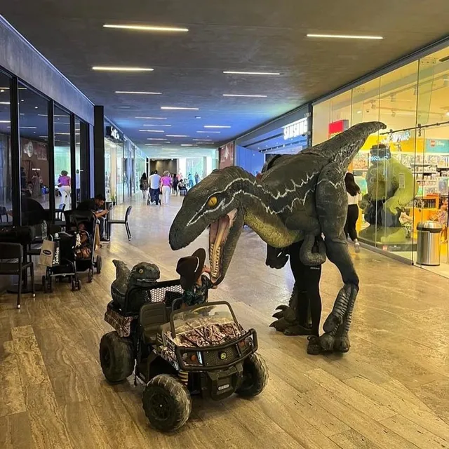 Colors Little Cars Punto Valle