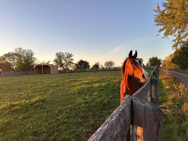 Doran Farm BNB & Wedding Venue