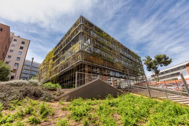 ègora | TURÓ DE LA PEIRA