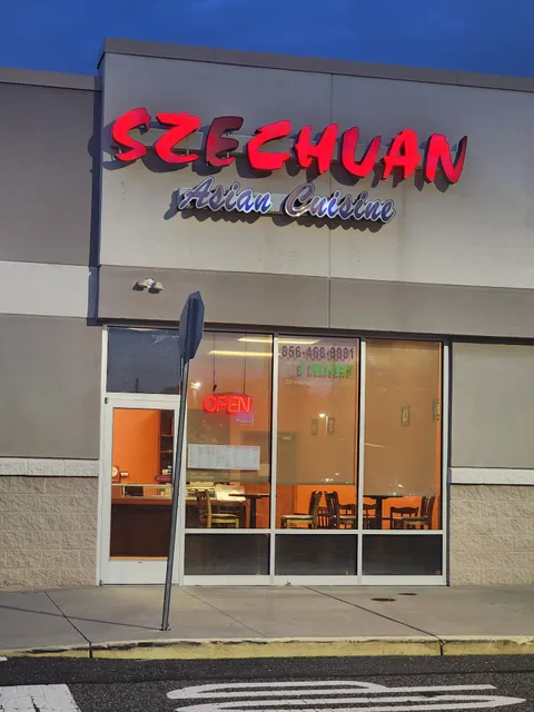 Szechuan Asian cuisine