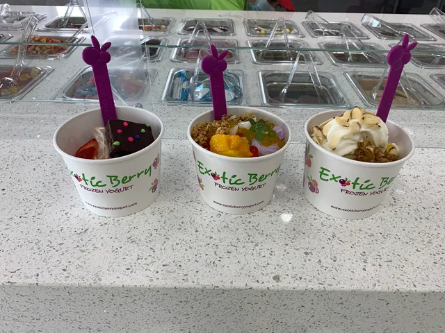 Exotic Berry Frozen Yogurt
