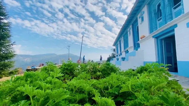 Aaranyam - It's a Vibe