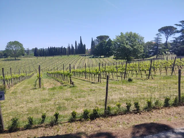 FATTORIA CASABIANCA di Liquori Aldo