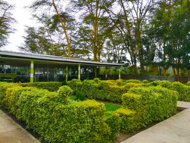 Hippo Safaris Resort