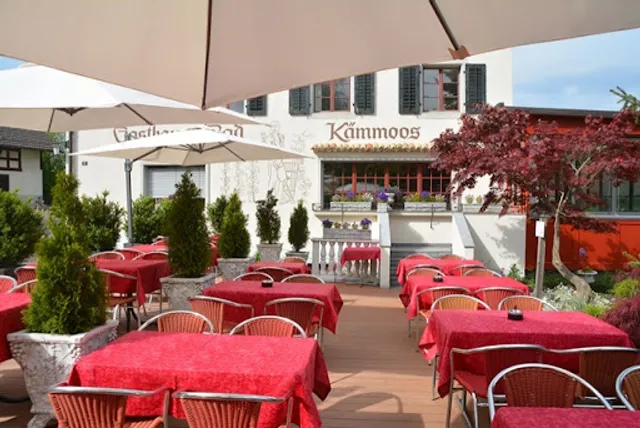 Ristorante Pizzeria Roma