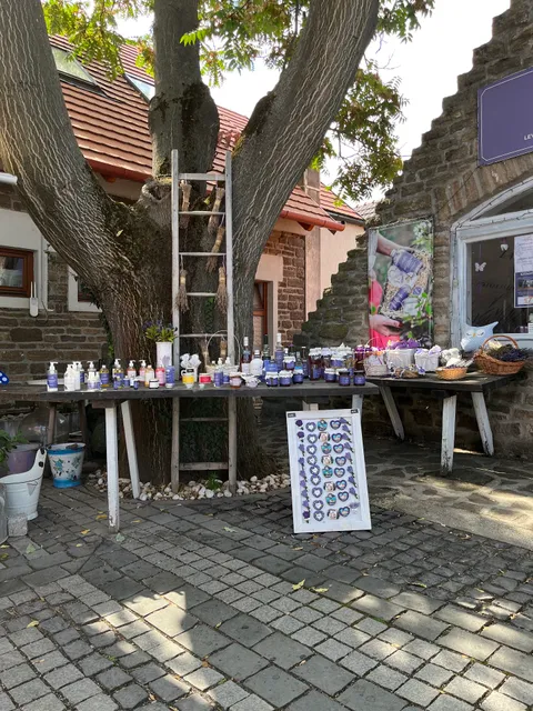 Lavender Garden Tihany