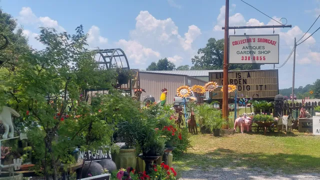 Collector's Showcase