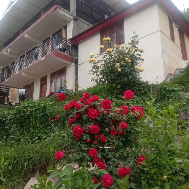 The Orchard Homestay Narkanda