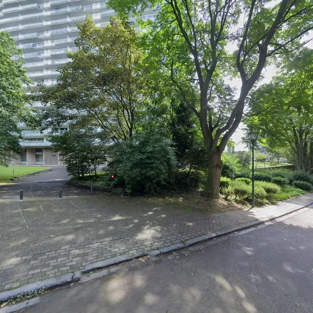 Panos Q8 DODO Molenbeek