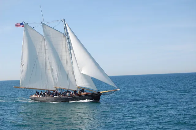 Next Level Sailing - San Diego Whale Watching & Private Yacht Charters