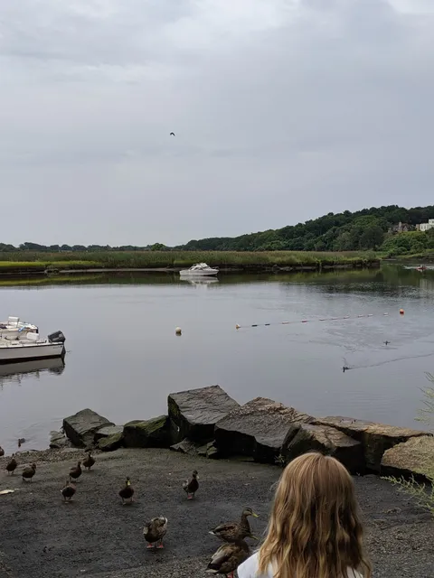 Milton Farmers Market