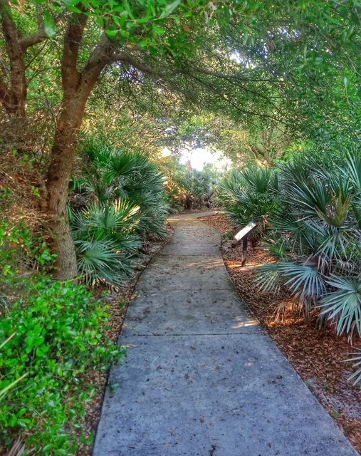 Serenoa Glade Preserve