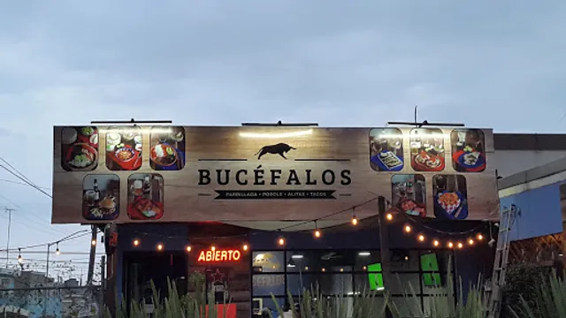 Bucéfalos