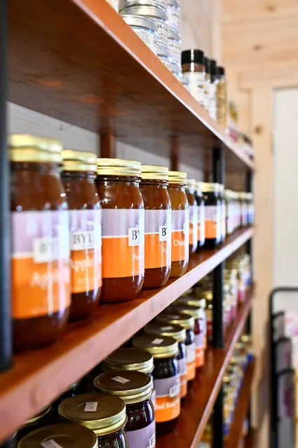 Yesterday's Roots LLC