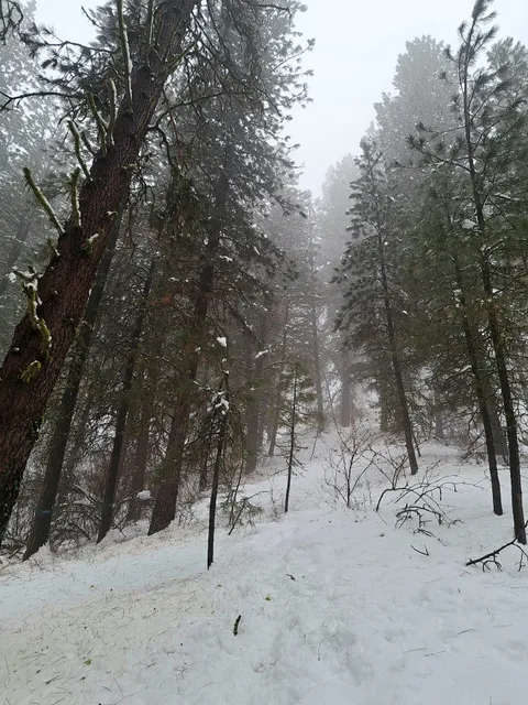 Middle Fork Payette River
