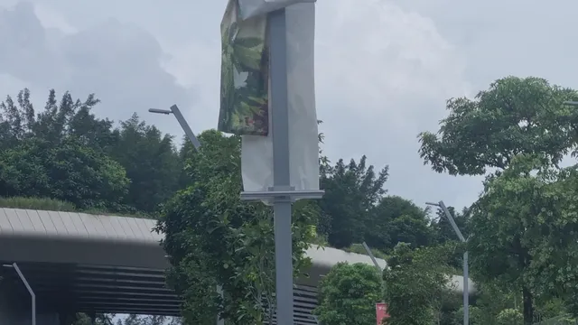 Mandai Wildlife Bridge