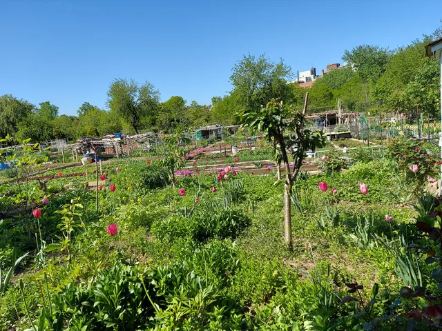 Evergreen Community Garden