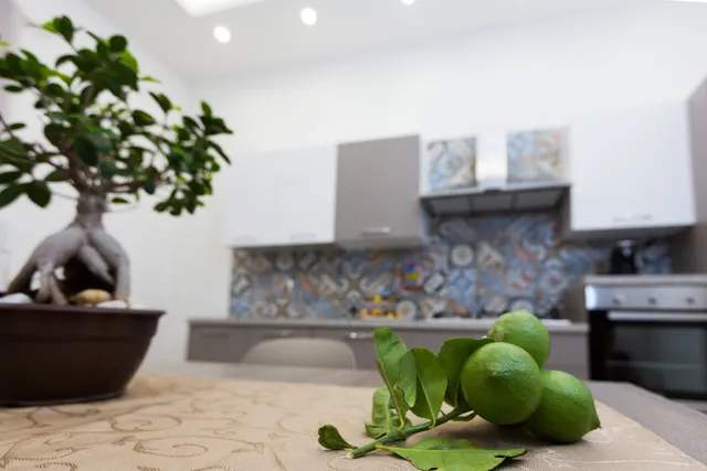 Case Vacanza "Le Maioliche"