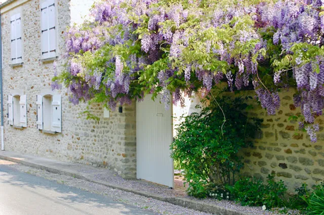 Glycines Country Guesthousee