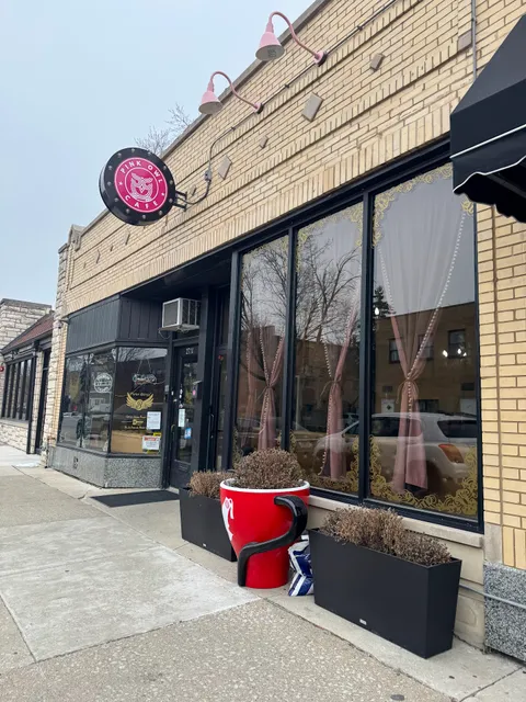 Pink Owl Cafe