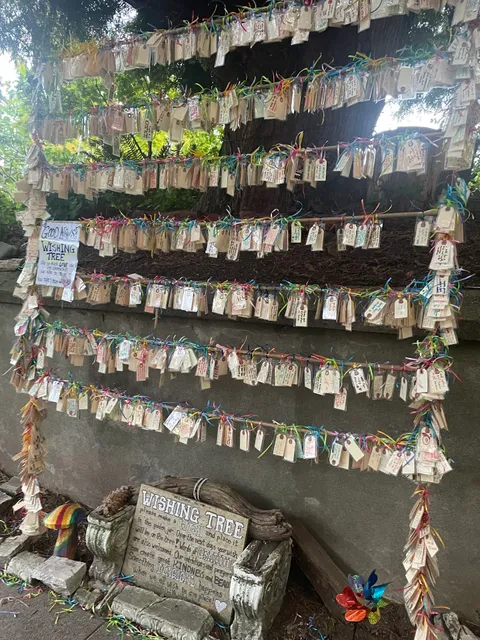 Capitol Hill Wishing Tree