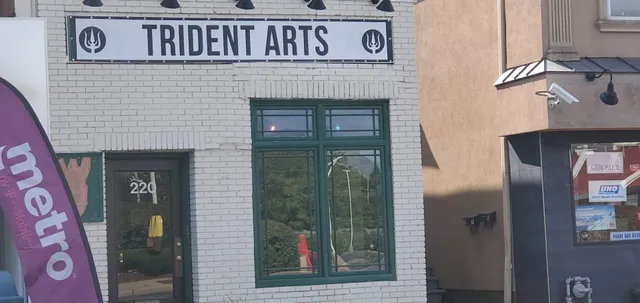 Trident Arts Tattoo and Art Gallery