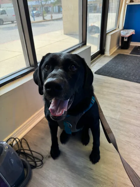 Puppy Palace Self-Service Dog Wash, LLC