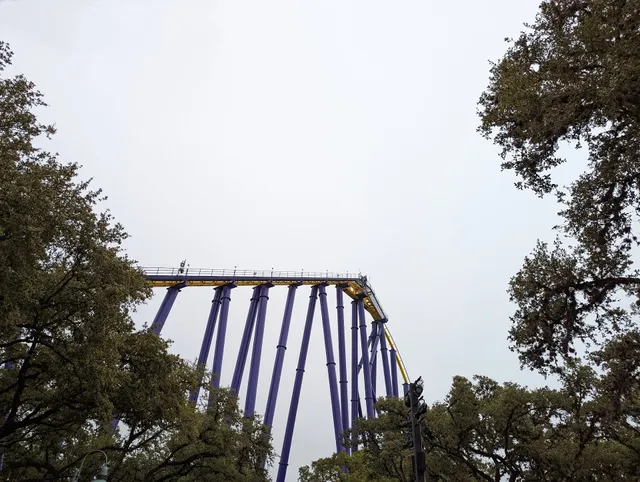 photo-1