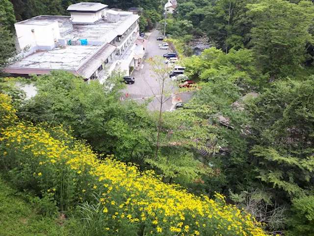 Shiobara Motoyu Onsen Ōidekan