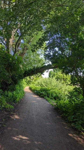 Wandle Trail