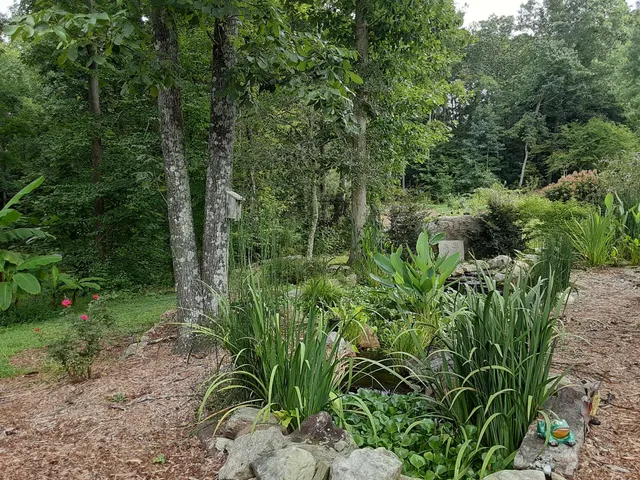 The Family Bee's-ness