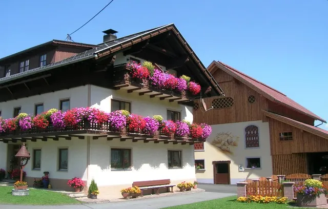 Kollerhof