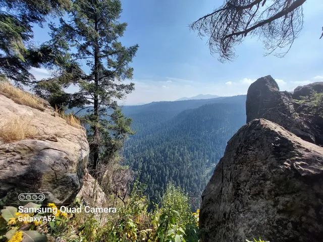 Caseta cuarto dinamo