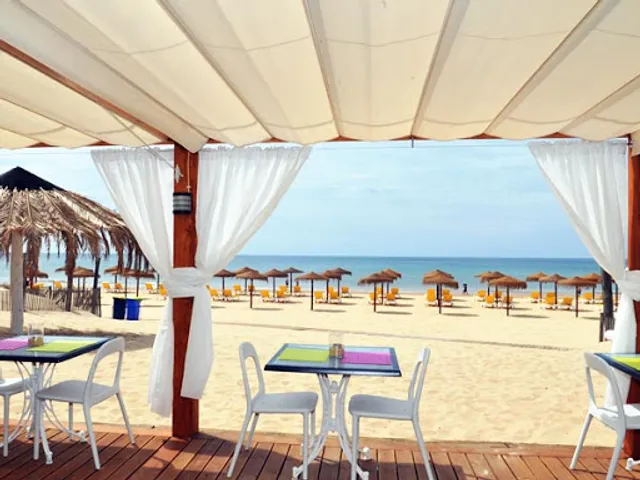 Sem Espinhas - Natura Beach Bar