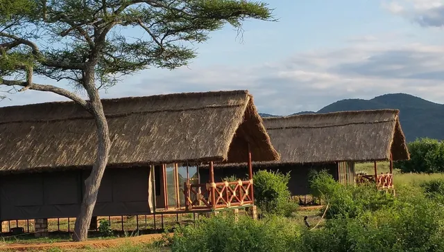Tarangire Simba Lodge