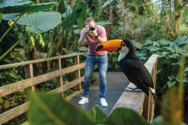Pantropica (voorheen de Orchideeën Hoeve)