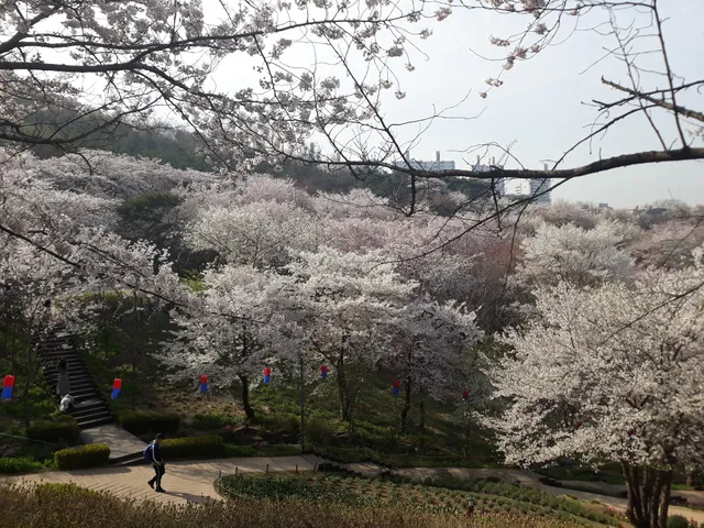 Ansan Urban Natural Park