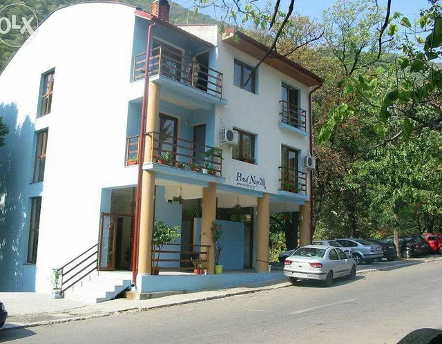 Pensiunea Pinul Negru 2