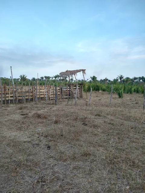 Região Geográfica Imediata de Codó