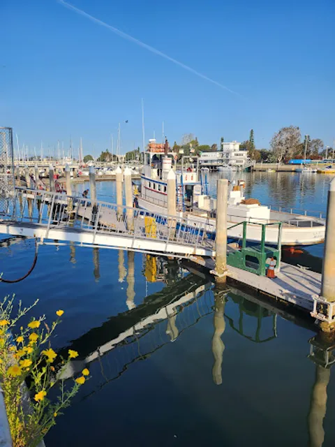 Marina Del Rey Sportfishing