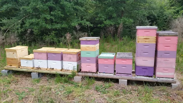 BZ Honey at Thirsty Bee Meadery