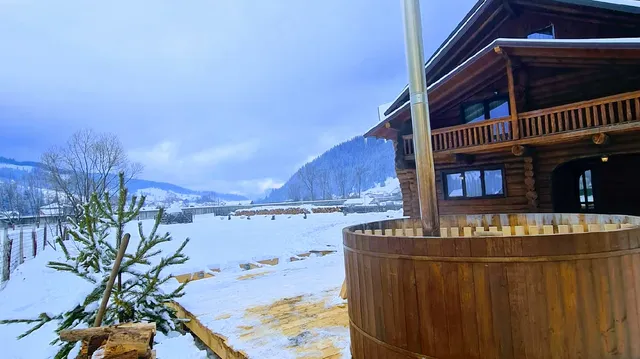 Pensiunea Coliba Plutașilor