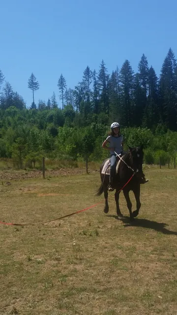 Sky View Horse Ranch
