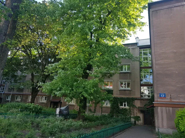 MirrorRoom PL DownTown