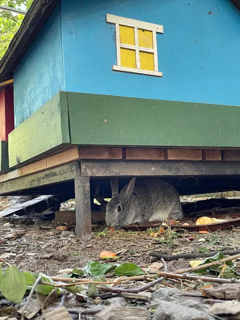 Detskaya Ploshchadka S Mnogourovnevym Labirintom
