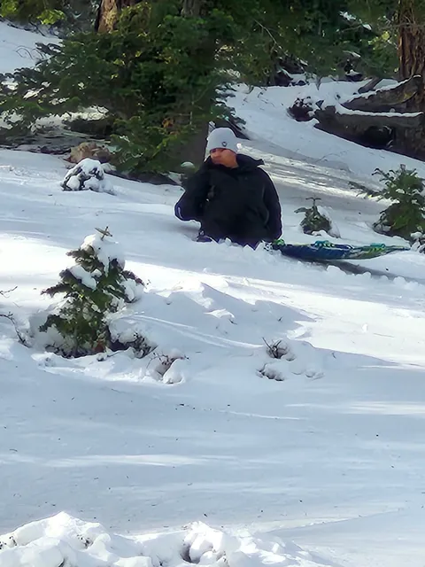 Maryland Tree Covered Trail