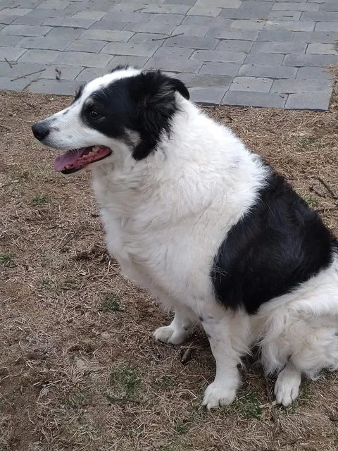 Radio Grove Hardware