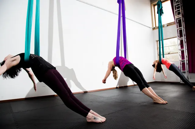 Take Flight Yoga and Movement