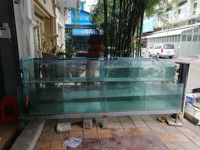 波记BBQ烧烤海鲜大排档，早餐中餐晚餐夜宵