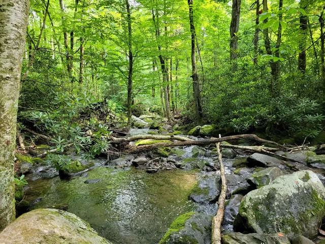 North Gatlinburg Park